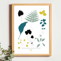 Affiche panoramique gravure Noe Paper - inspiré par la nature