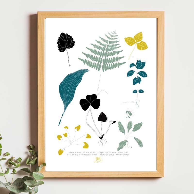 Affiche panoramique gravure Noe Paper - inspiré par la nature