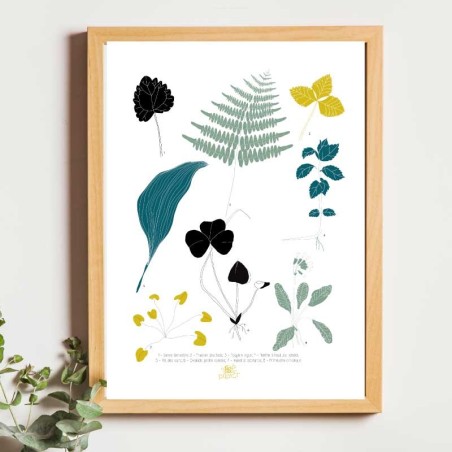 Affiche panoramique gravure Noe Paper - inspiré par la nature