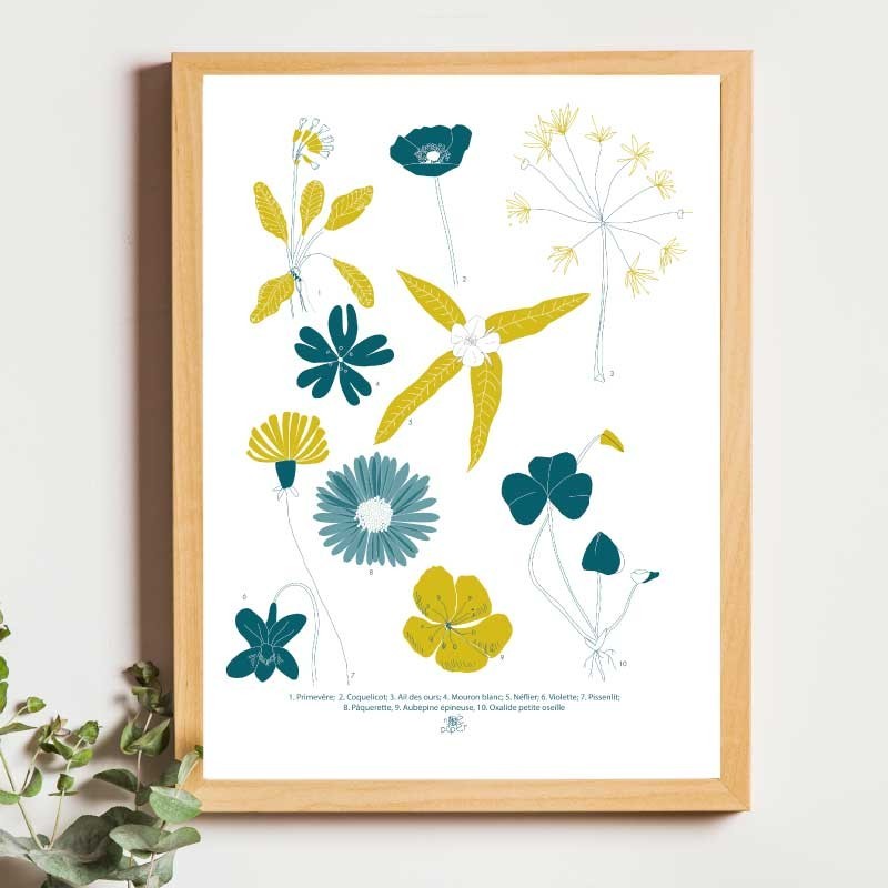 Affiche panoramique gravure Noe Paper - inspiré par la nature