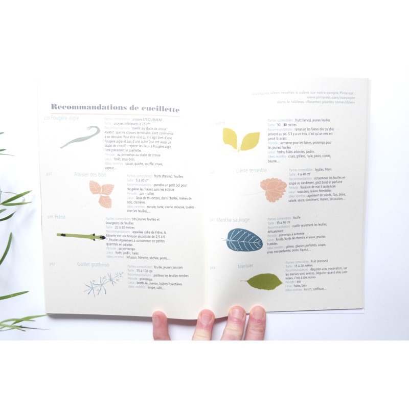 Livre Plantes comestibles