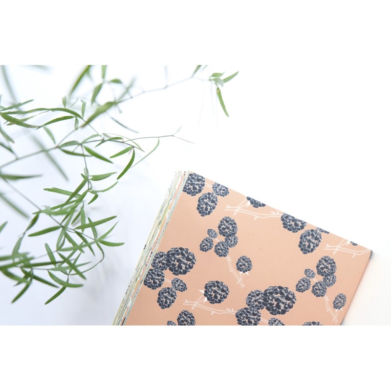 Livre Plantes comestibles