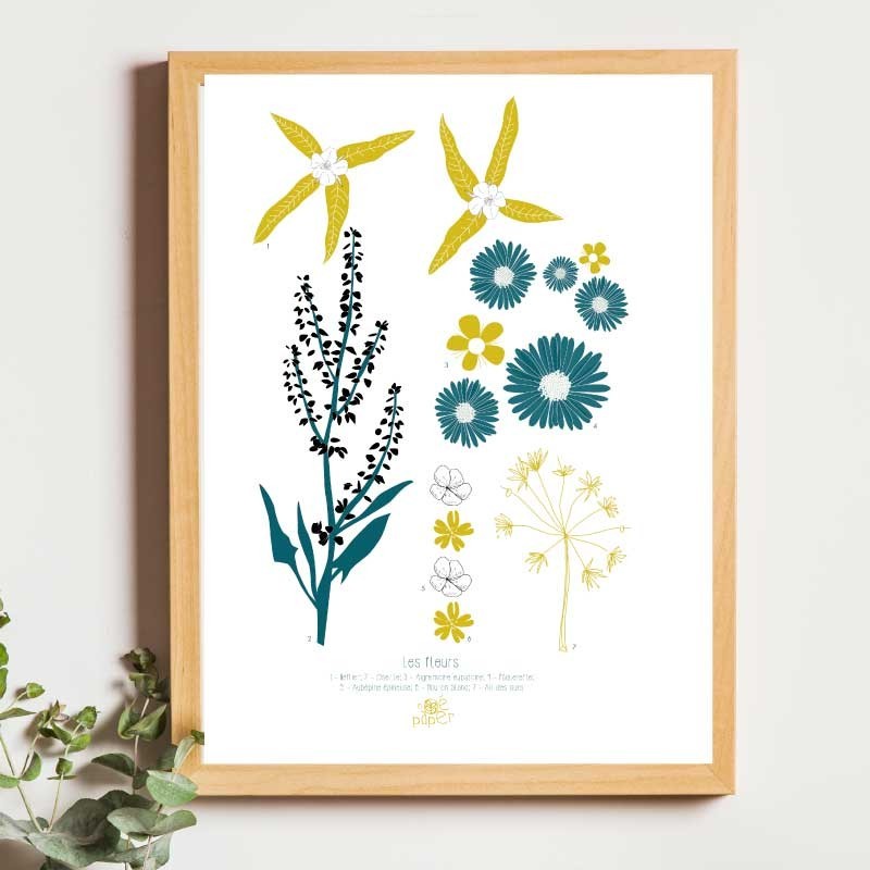 Affiche panoramique gravure Noe Paper - inspiré par la nature